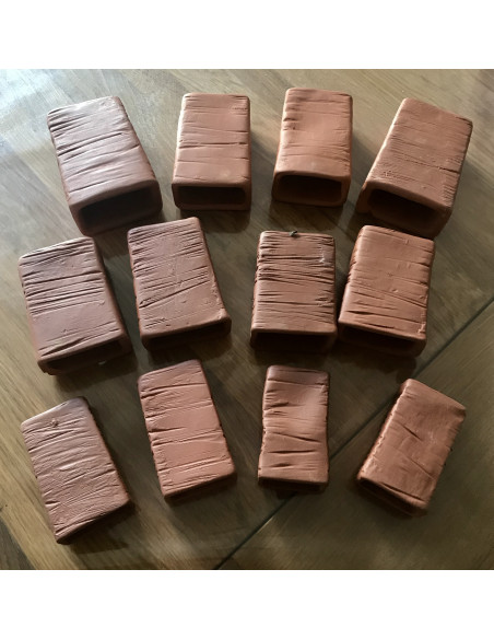 Cachette poisson terre