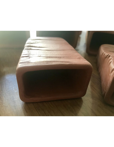 Cachette poisson terre