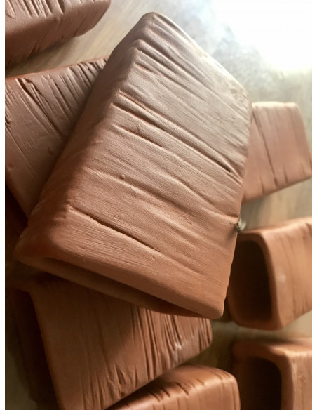 Cachette poisson terre