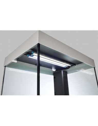 VIVALINE LED 240 COMBI anthracite 20w + ecco pro 300 + ch.150w