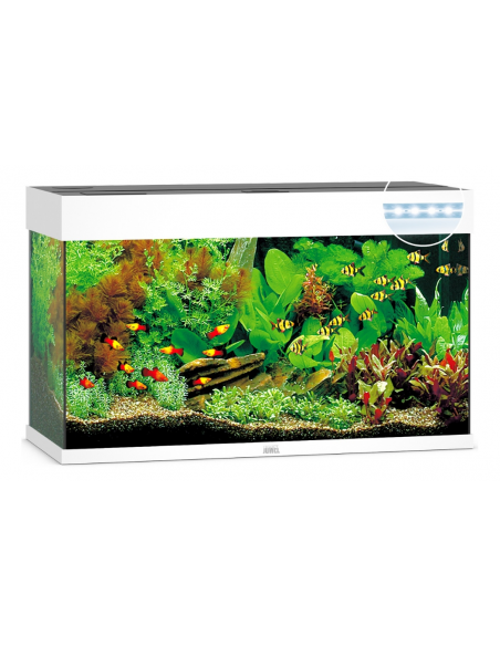 Aquarium RIO 125 LED (2x14w) BLANC  JUWEL