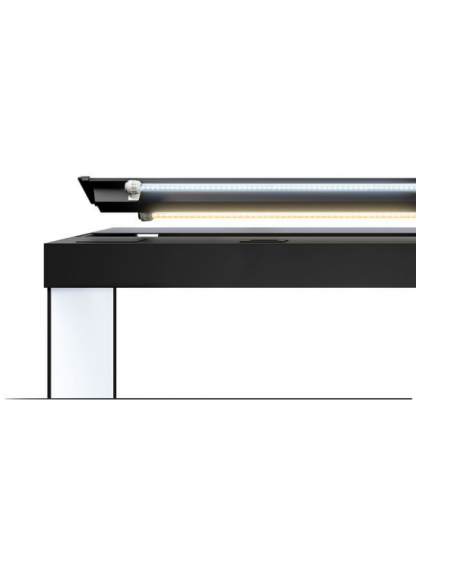 Aquarium RIO 125 LED (2x14w) BLANC  JUWEL