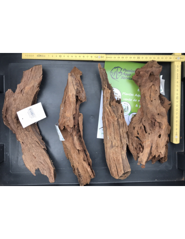 Mangrove M 25-33 cm Mangrove M 25-33 cm