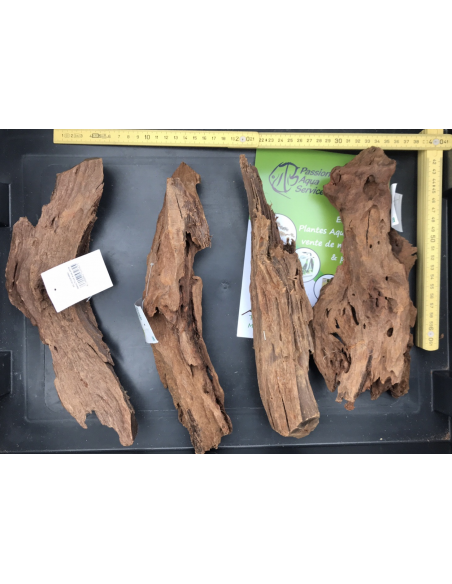 Mangrove M 25-33 cm Mangrove M 25-33 cm
