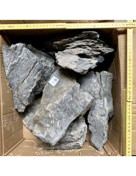 Mini Landscape (Seiryu Stone)