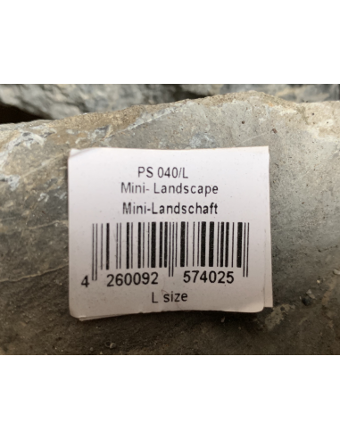 Mini Landscape (Seiryu Stone)