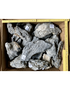 Mini Landscape (Seiryu Stone) 2