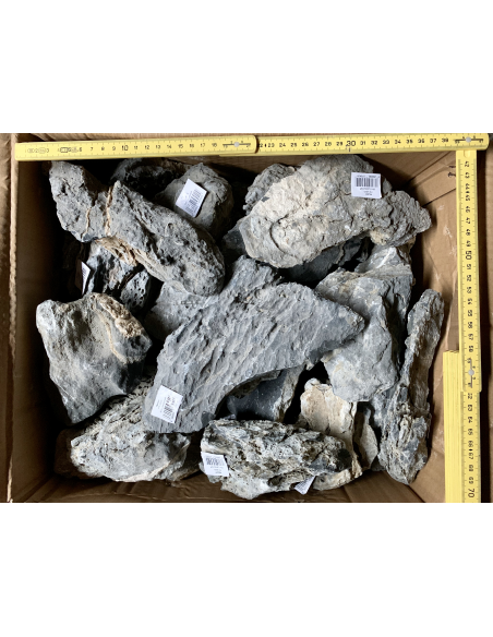 Mini Landscape (Seiryu Stone) Mini Landscape (Seiryu Stone)