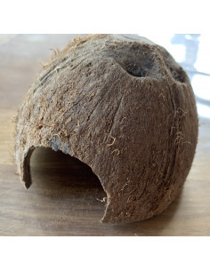 cachette noix coco