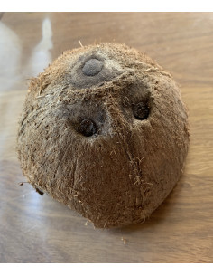 cachette noix coco 2