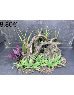 Déco pierre, racine et plante M