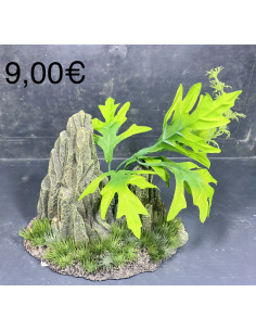 Déco pierre et plante M