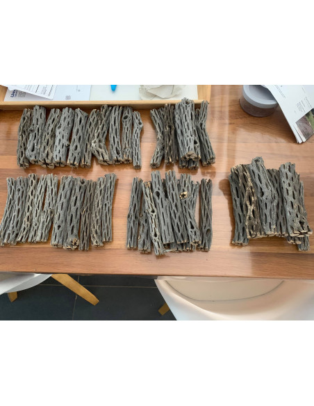 Bois de Cholla wood taille M