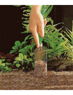 Cloche de vase eheim - Pompe Aquarium -