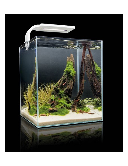 Nano aquarium 30 litres noir Nano aquarium 30 litres noir