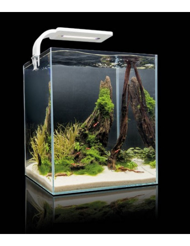 Nano aquarium 30 litres noir