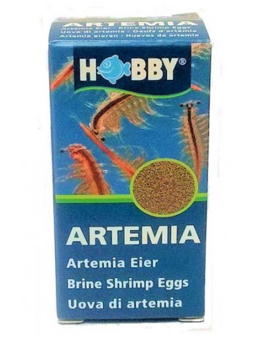 Oeufs d 'artémia 20ml 10g Oeufs d 'artémia 20ml 10g
