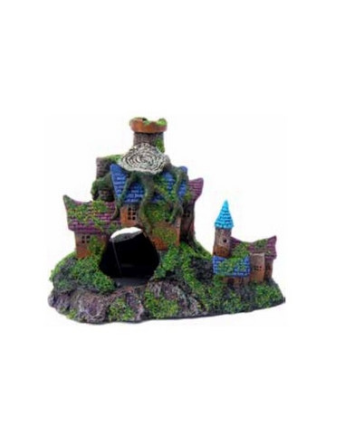 Déco maison avec mousse 191223