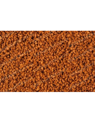 Sera Discus 10 litres - Poisson Aquarium - 