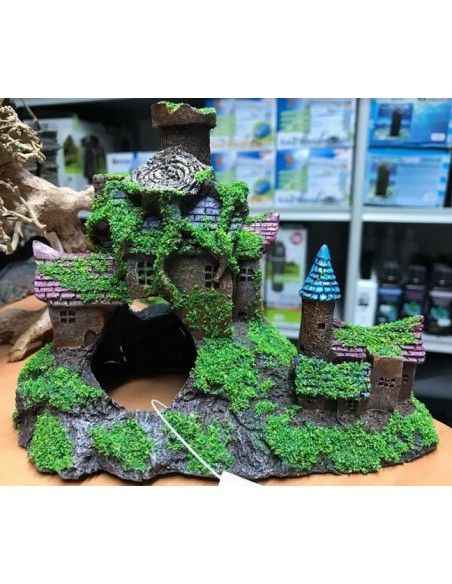 Déco maison avec mousse 191223