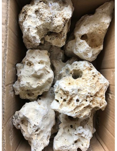 Pierre a trou calcaire M